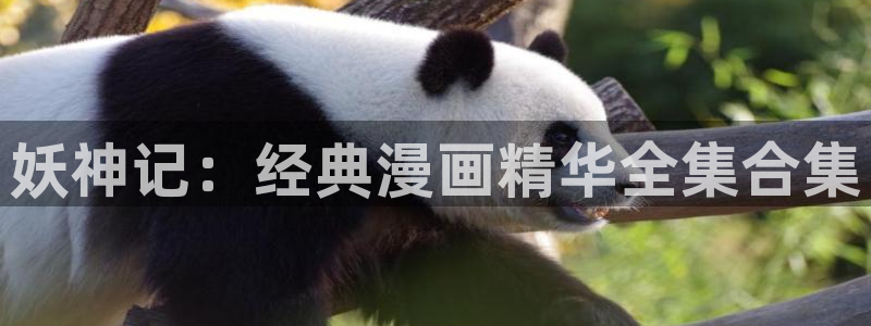 羞羞背景动漫：妖神记：经典漫画精华全集合集