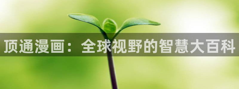 绝对双刃羞羞动漫：顶通漫画：全球视野的智慧大百科