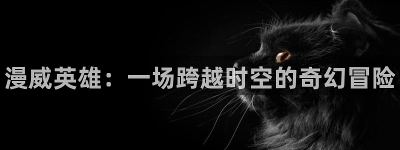 羞羞动漫露营后宫：漫威英雄：一场跨越时空的奇幻冒险