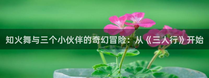 神奇宝贝剑盾羞羞动漫：知火舞与三个小伙伴的奇幻冒险：从《三人行》开始