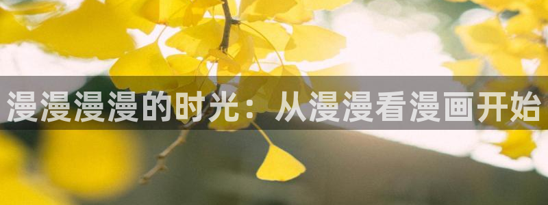 mignon动漫羞羞动漫：漫漫漫漫的时光：从漫漫看漫画开始